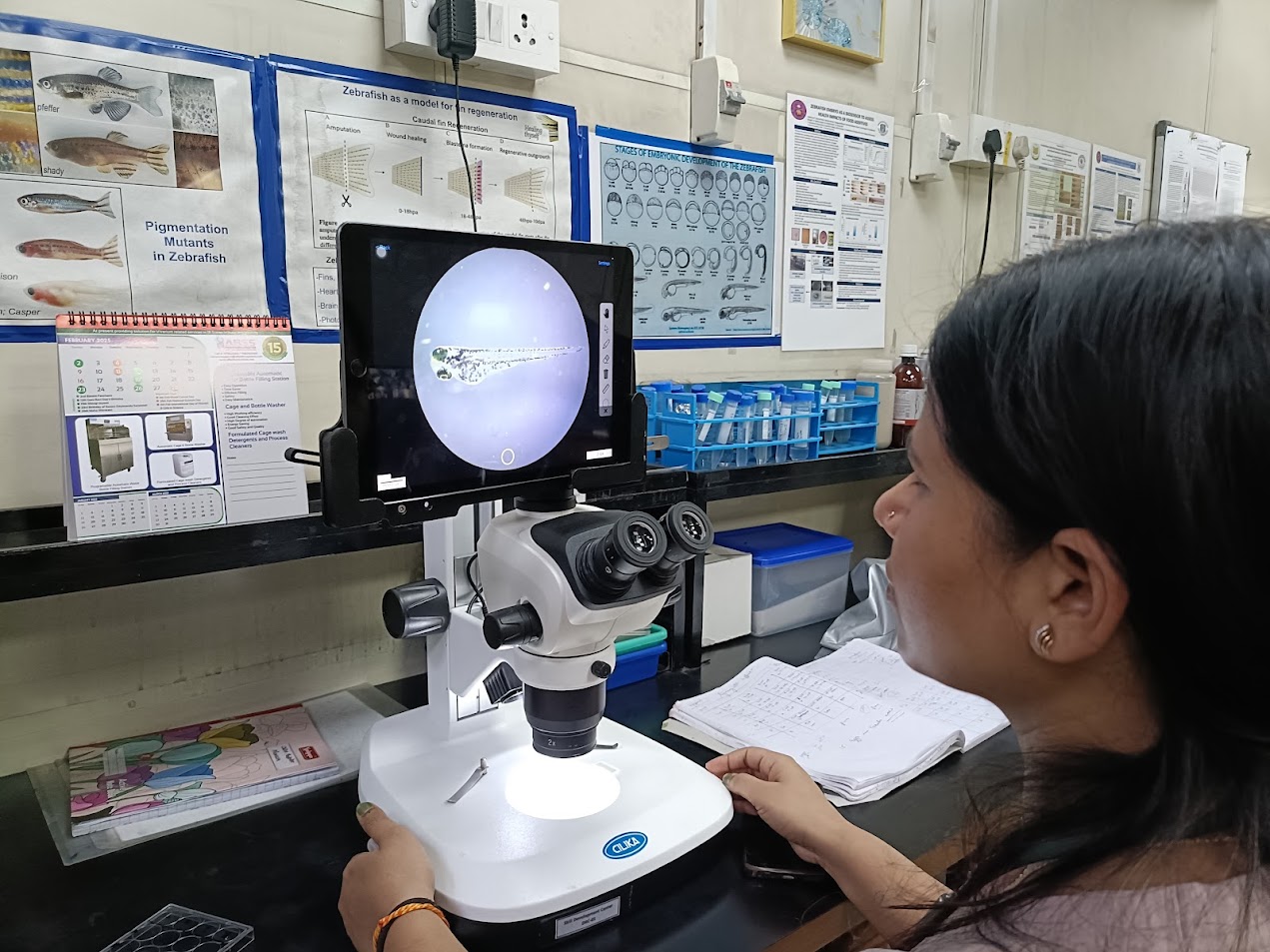 Microscopes
